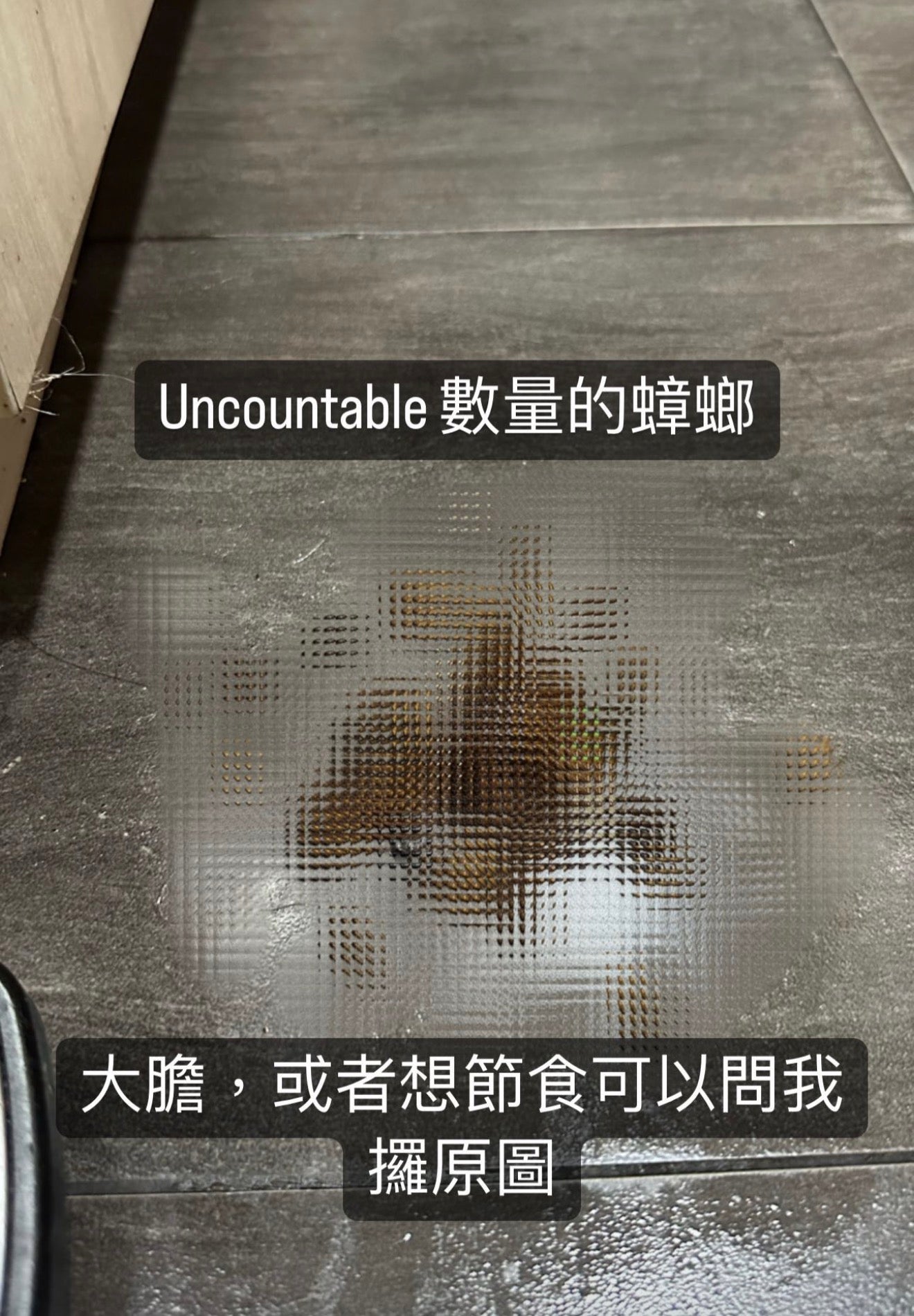 GCC Professional Pet Safety Pest Control