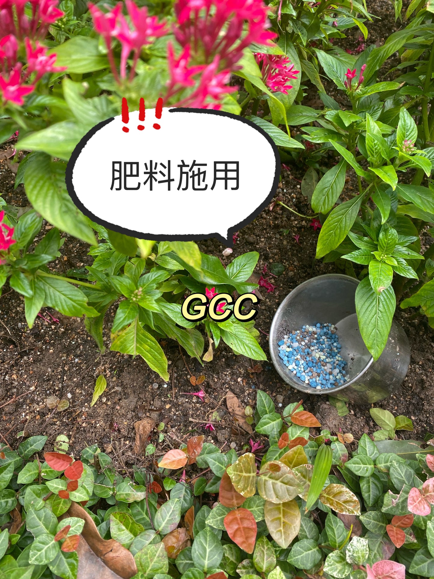 Home Professional Horticultural Service