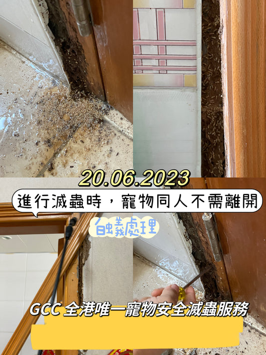 GCC door termite prevention service